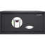 Biometric Security Box 0.79 Cu Ft, Fast Fingerprint Recognition, 120 Users, Black, Steel, -, Silent Operation, Emergency Key Ft Chest, Advanced Protection, User Capacities, Silent, Access