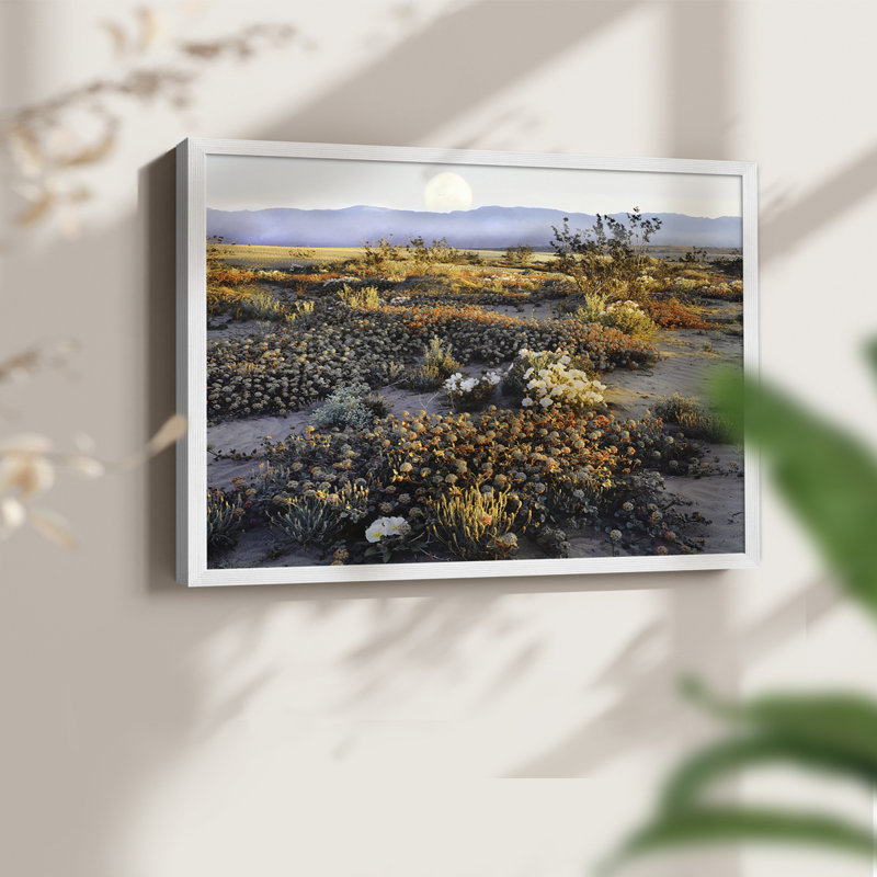 Anza Borrego - impression encadrée - réaménageable, H 16 po x l 20 po, Blanc