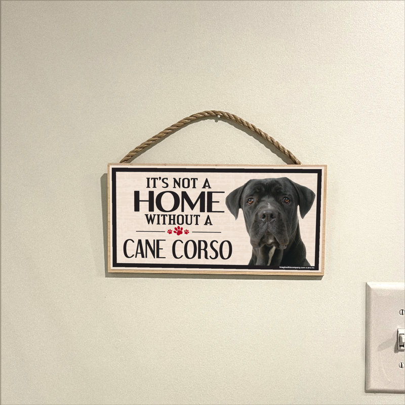 Ce n'est pas une maison sans notre cane Corso