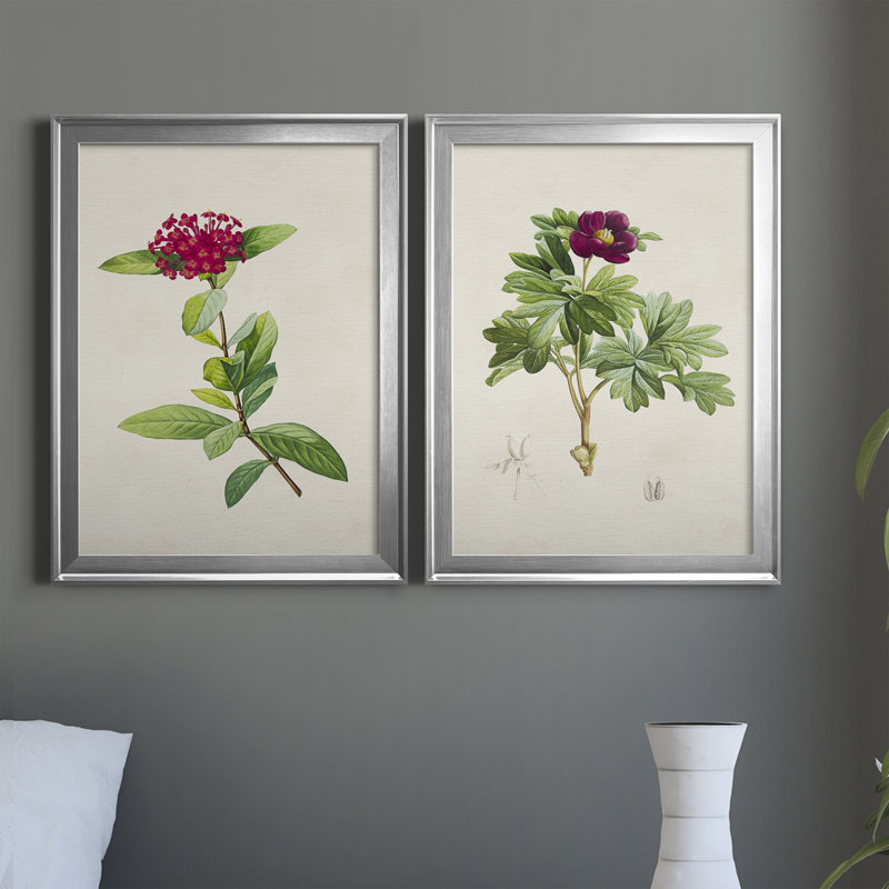 «Pretty Pink Botanicals II», ensemble de 2 impressions sur toile encadrées, H 24,5 po x l 18,5 po x P 1,25 po, Cadre argenté