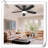Museau Ceiling Fan with LED Lights-1680007390