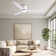 Jamarreon 42''/52'' Flush Mount Dimmable Ceiling Fan with LED Lights and Remote Control
