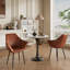 Sanira Upholstered Dining Chairs-105506982