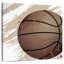 Sirci Sport Life IV-109206805