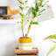 Nicola Spring - Reactive Glaze Plant Pot-63880880-63880886