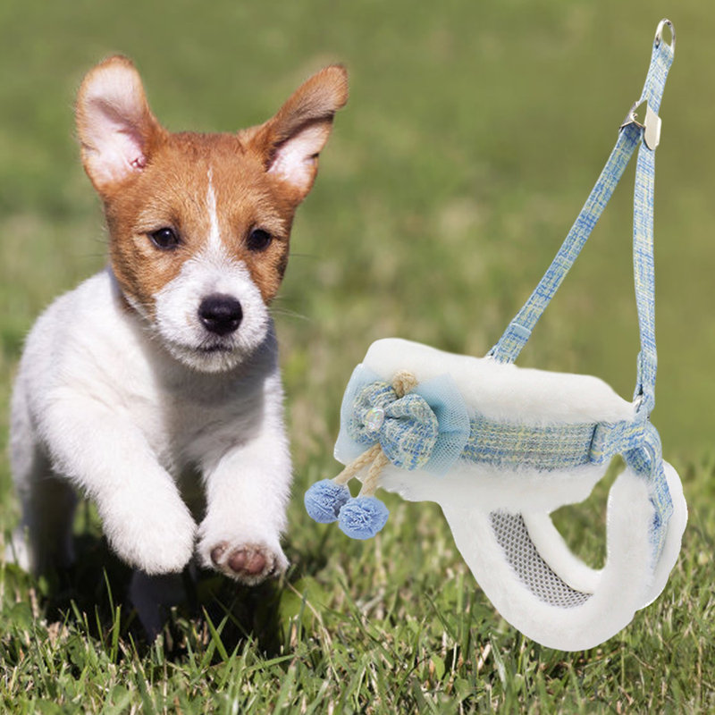 Harnais et laisse de chien pour la marche - bleu, Bleu, Petit
