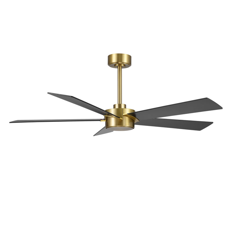 Ventilateur de plafond 54 po x 5 po en contreplaqué avec moteur à courant continu réversible et silencieux, noir et or, Doré