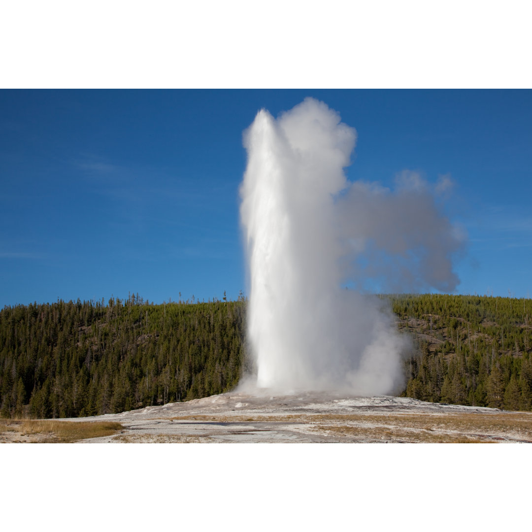 Alter treuer ausbrechender Geysir