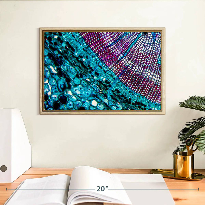 Pine Stem Under Microscope, 13" X 9", Floating Frame Natural Wood