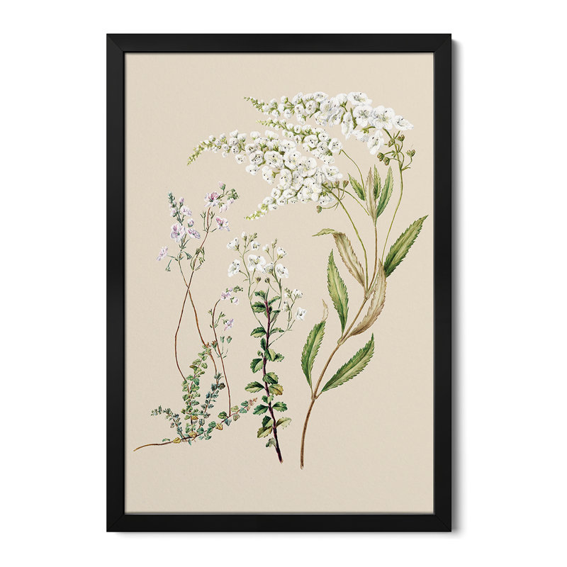 Veronica - reproduction d'art murale - affiche de galerie, H 32 po x l 24 po