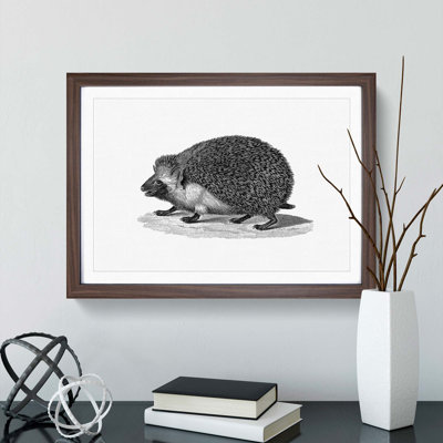 Hedgehog Illustration - Picture Frame Art Print