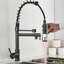 Belfry Kitchen Brigid Pull Down Kitchen Faucet