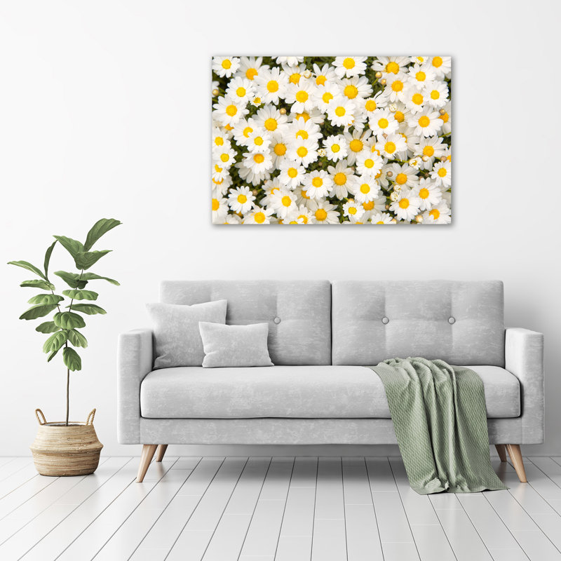 Daisies - No Frame Print on Glass