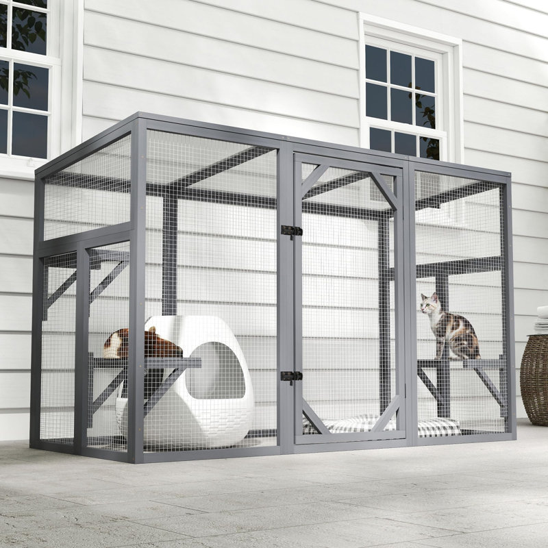 Cat Cage / Crate