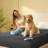 BEDLORE® Noiseless Waterproof Mattress Protector, Hypoallergenic Quilted Washable Mattress Cover, Breathable Mattress Pad with 6-18'' Deep Pocket-117317008-124390763