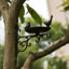 Mangeoire à oiseaux pour l'extérieur