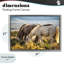 Cadre flottant Equine Evening Graze, design par Tim West-1383528087-1383528172