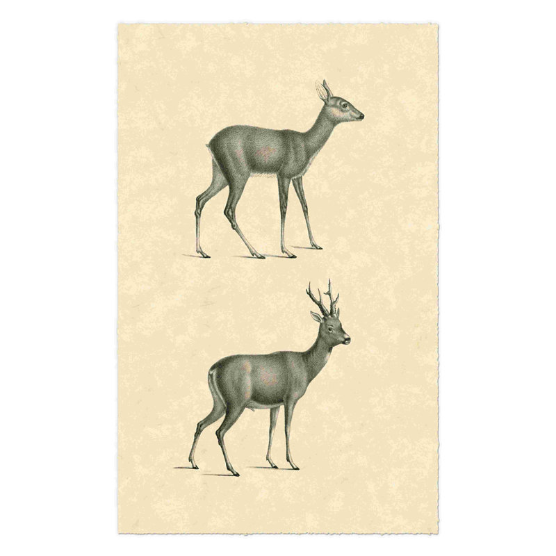 Cerf rétro I, H 12 po x l 8 po