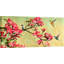 2KP5787 Flower Branch (Detail) by Kelly Parr - Wrapped Canvas Print-1287409447