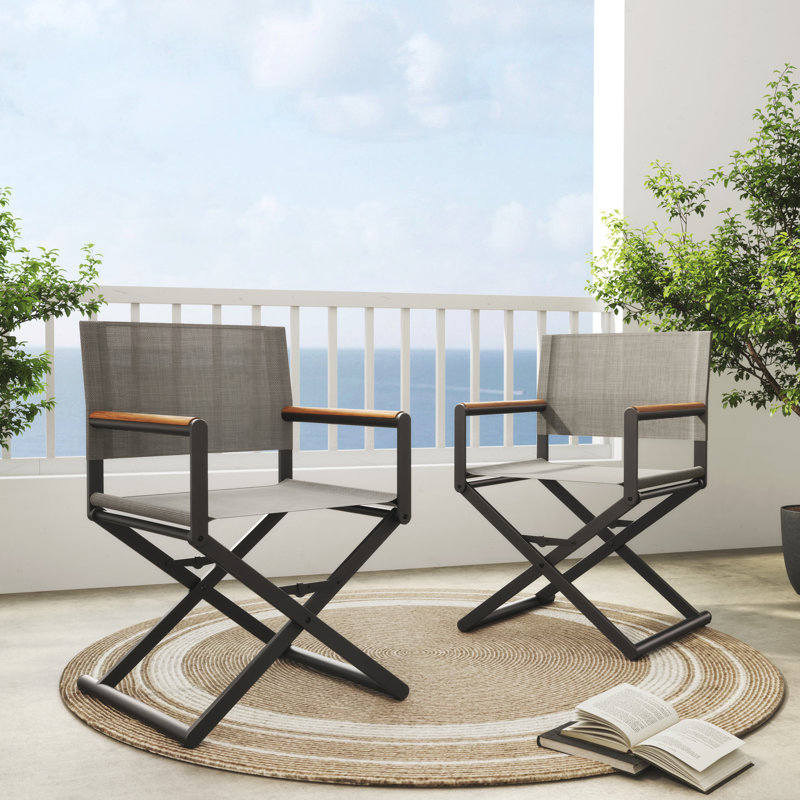 Siepie Folding Director Chair, Black
