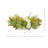 Hydrangea, Heather and Artichoke Fall Centerpiece in Oval Pot