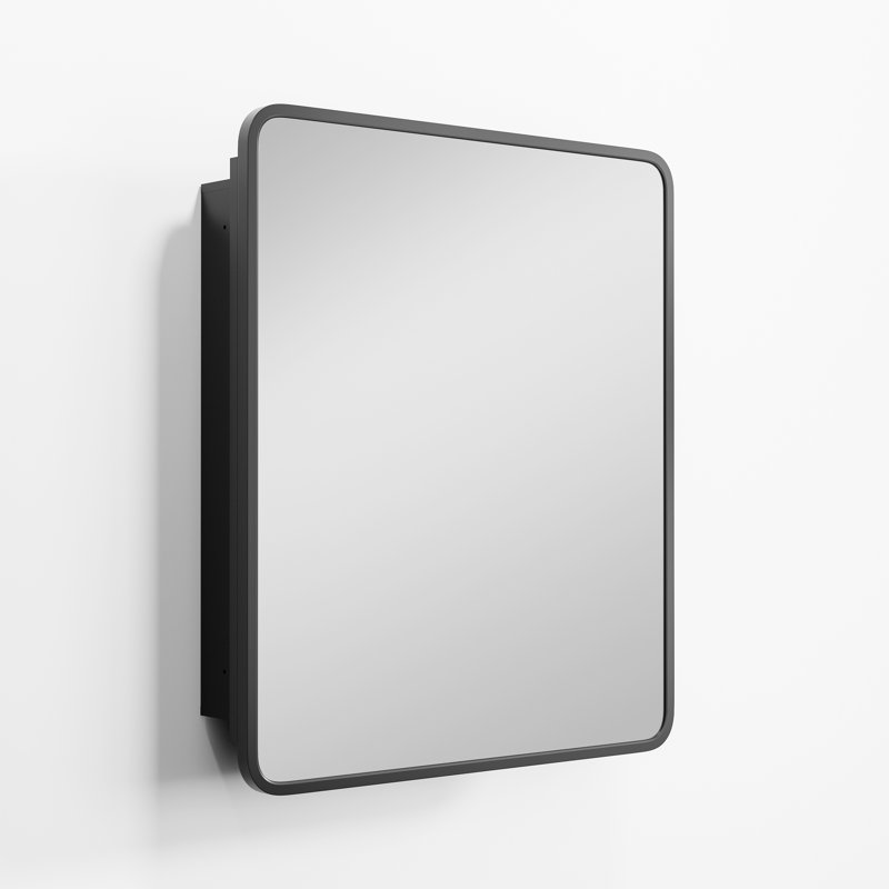 Bryndon Medicine Cabinet Mirror, 28" H x 20" W, Black