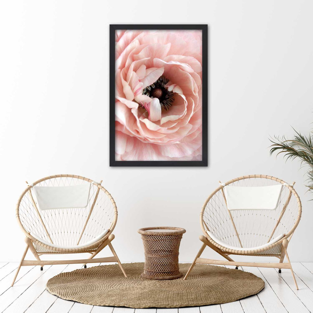 Gerahmtes Poster Pastel Peony Flower