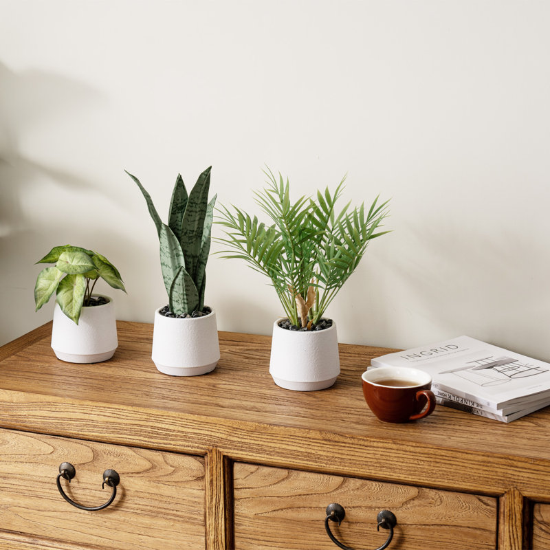 3 - Piece Indoor Artificial Greenery Plants in Pot Set