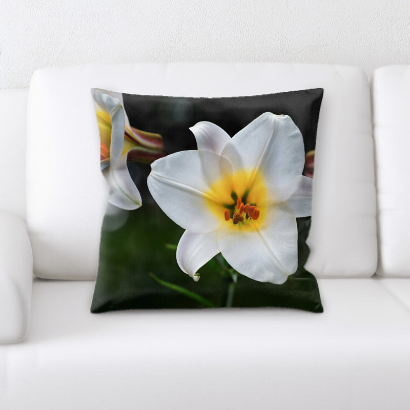 Coussin lily david