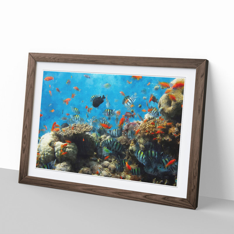 Coral Reef and Fish Vol.2 - Picture Frame Graphic Art, 27cm H x 36cm W x 2cm D, Walnut Framed