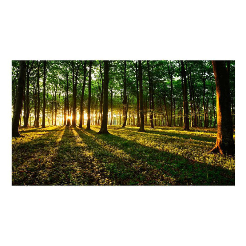 Evlalia Peel & Stick Wall Mural