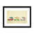 Black Framed Paper is unavailable