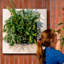 Nilda Metal Planter-1625015064