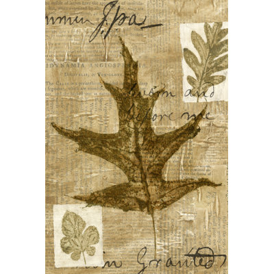 Leaf Collage II by Kate Archie - Wrapped Canvas Print