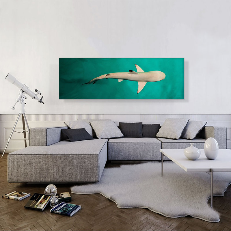 " Whitetip Reef Shark Panoramic ", 20" H x 60" W x 1.5" D