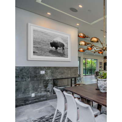 Lone Buffalo - Single Picture Frame Print