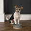 Scruffs Scandi Collection 91.507ml Pet Bowl