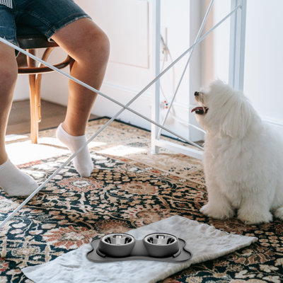 Pet Bowl