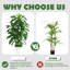 150cm Tree