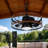 20" Caged Flush Mount Ceiling Fan With Remote And Led Bulbs Included