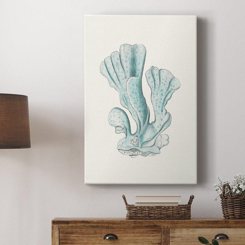 Antique corail de bord de mer antique - galerie Cavas sur mesure