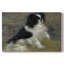 Tama, the Japanese Dog-Pierre-Auguste Renoir-Gallery Wrapped Canvas-c. 1876-10304807