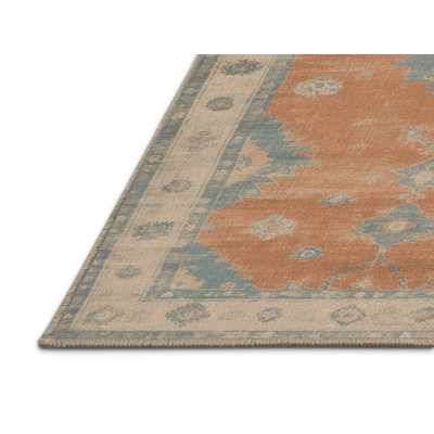 Machine Washable Overdyed Brown Area Rug