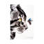 Close Encounter I by Soo Beng Lim - Wrapped Canvas Painting-257425995