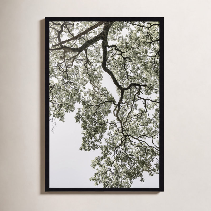 Pleasantville Coastal Forest by Shot by Clint Wood Framed Wall Art Print, Black, 33" H x 23" W