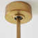 Adler Ceiling Fan