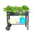 Metal Garden Carts