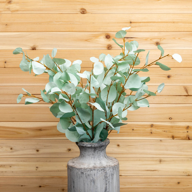 Eucalyptus vapeur, Bleu
