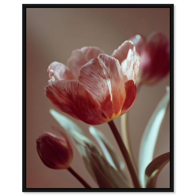 Muse of Spring Floral & Botanical Canvas Print by Oliver Gal, Black Frame, 16 x 20, 17"H x 21"W, Black Floater Frame
