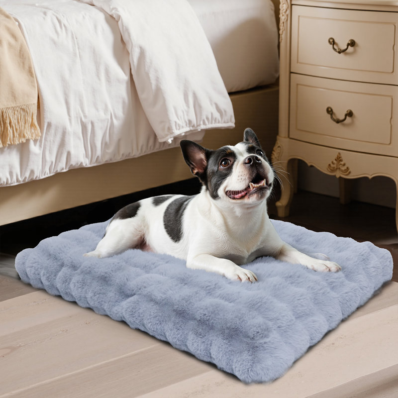 Dog Bed, 10cm H x 90cm W x 60cm D, Grey